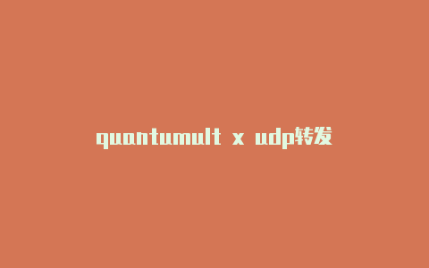 quantumult x udp转发