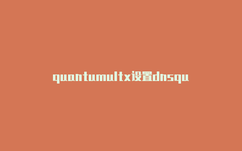 quantumultx设置dnsquantumult节点网站